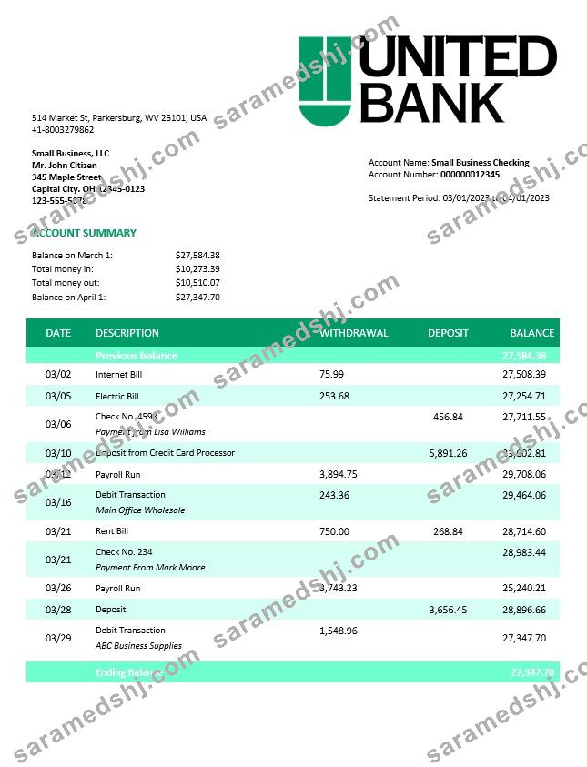 United Bank enterprise account statement Word and PDF template